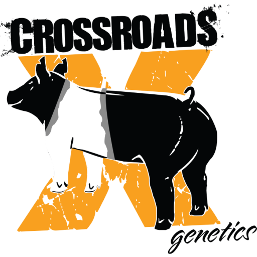 cropped-logo.png Crossroads Winners