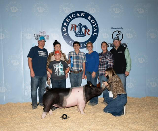 Allen-1st-Cross-Gilt-American-Royal-GENESIS Crossroad Winners