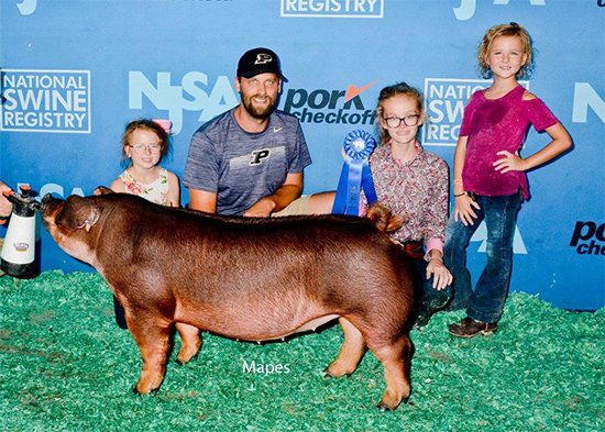 Baker-1st-Duroc-Gilt-STC-NECESSARY-ROUGHNESS Crossroads Winners