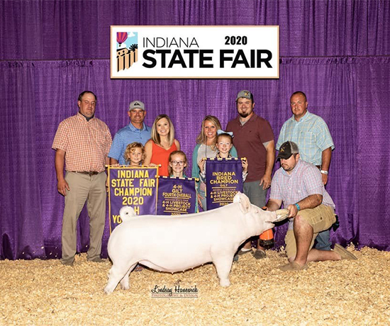 Baker-4th-Ovr-Gilt-Champ-York-INSF-BIG-PAW Crossroads Winners