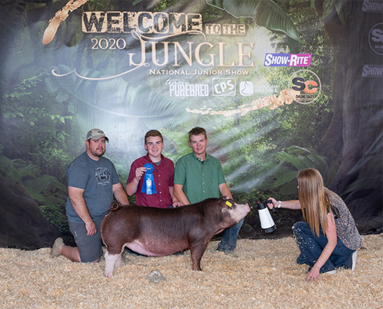 Barr-1st-Hereford-Gilt-STC-NEW-ERA Crossroads Winners