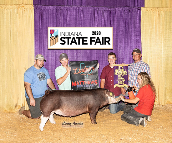 Barr-5th-Ovr-Herf-Gilt-INSF-NEW-ERA Crossroads Winners