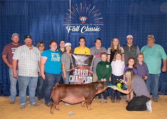 Beck-Champ-Duroc-Gilt-EYO-BACKDRAFT Crossroads Winners