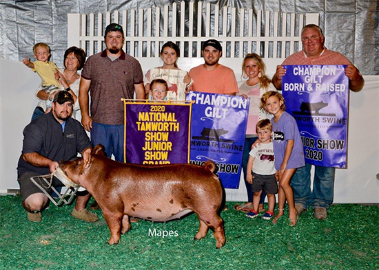 Beck-Champ-Tam-Gilt-Tam-National-ZIPPO Crossroads Winners