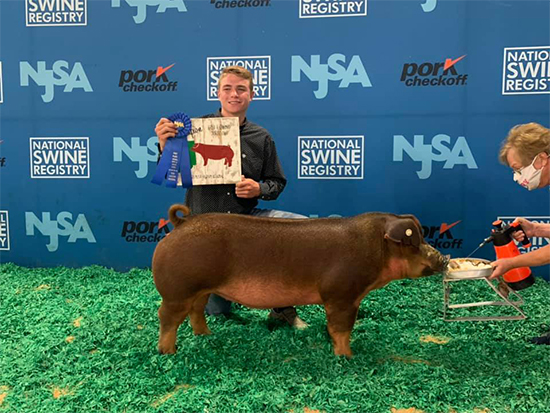 Boeskool-Champ-B&O-Duroc-Gilt-East-Reg-NEXT-CHAPTER Crossroads Winners