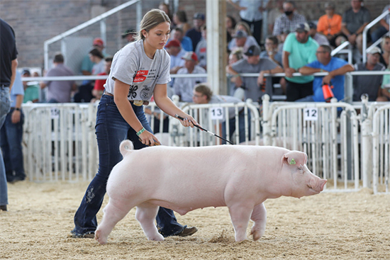 Brinning-Res-Chester-Mkt-Hog-IASF-JAGGED Crossroads Winners