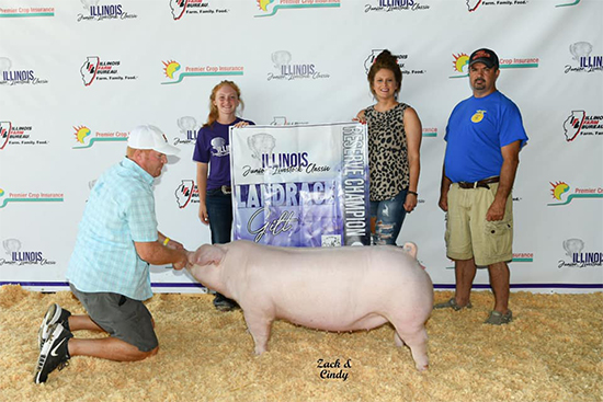 Coursey-Res-Landrace-Gilt-IL-Classic-HUSTLE Crossroads Winners