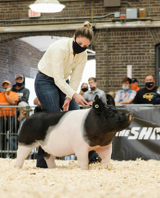 Crome-Res-Grand-Gilt-IL-DOA-KING-COBRA Crossroad Winners