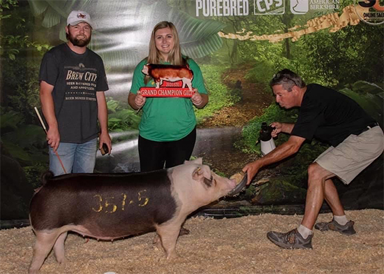 DJK-Champ-Herf-Gilt-STC-STRONGHOLD Crossroads Winners