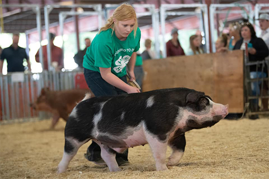 Effling-Champ-Spot-Ba-SDSF-LAMPOON Crossroads Winners