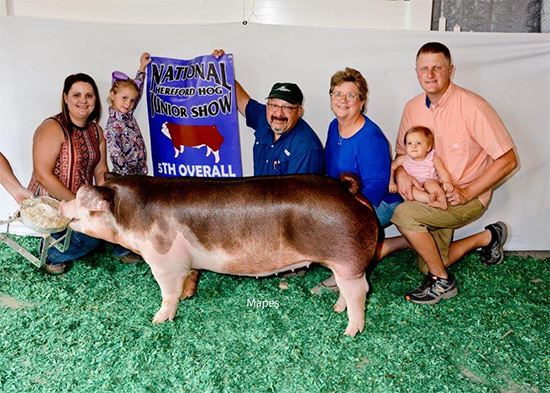 Elchinger-5th-Ovr-Herf-Gilt-Herf-National-NEW-ERA Crossroads Winners