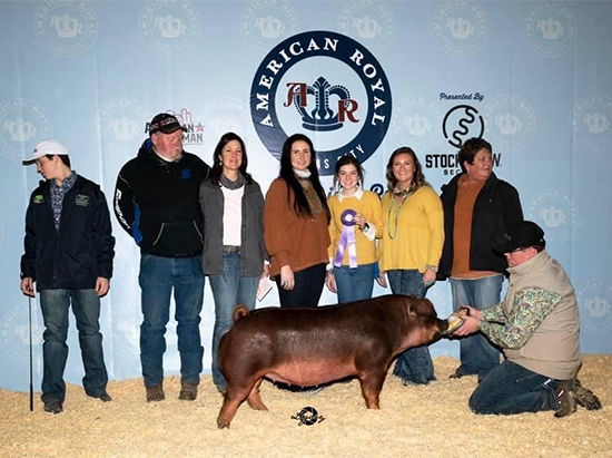 Garland-Champ-Duroc-Gilt-American-Royal-NEXT-UP Crossroads Winners