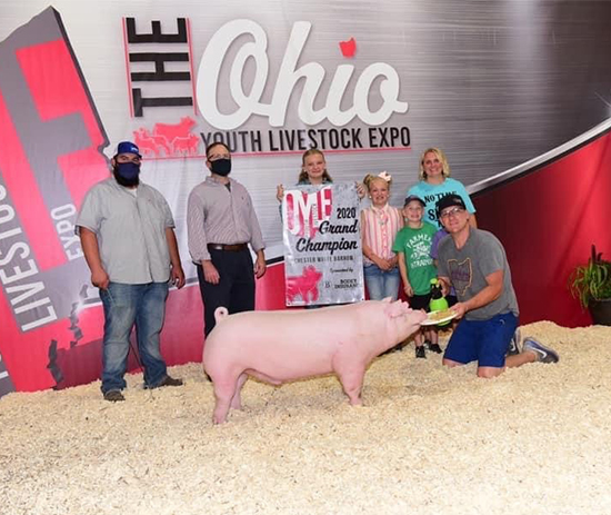 Genter-Champ-Chester-Ba-OYLE-CUSTOM-MADE Crossroads Winners