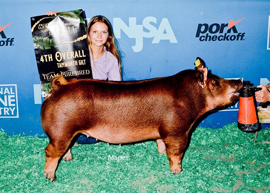 Hasselbring-4th-Ovr-Tam-Gilt-STC-ZIPPO Crossroads Winners