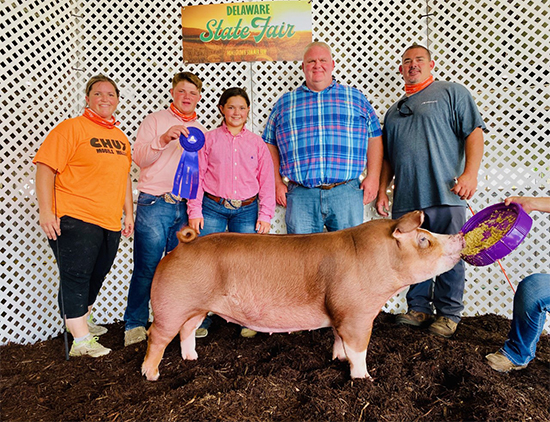 Hearn-Champ-Hereford-Gilt-DESF-STRONGHOLD Crossroads Winners