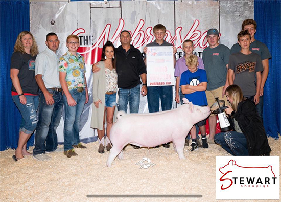 Kettlehake-Grand-Ovr-Gilt-NESF-BIG-PAW Crossroads Winners