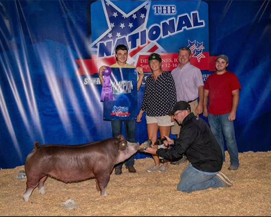 Lowes-Champ-Herf-Ba-The-National-NEW-ERA Crossroads Winners