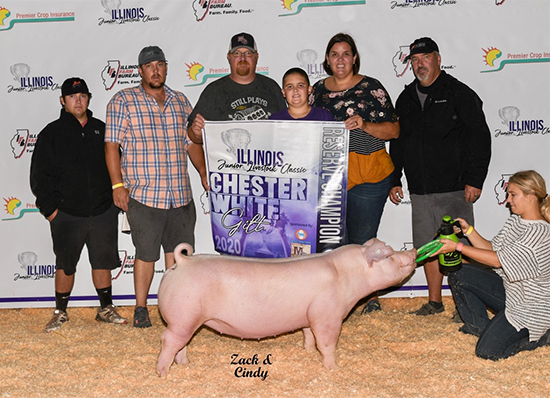 Meyer-Res-Chester-Gilt-IL-Classic-CUSTOM-MADE Crossroads Winners