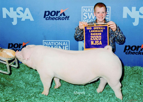 Mickey-3rd-Ovr-Landrace-Barrow-STC-HUSTLE Crossroads Winners