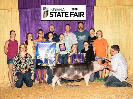 O'Brein-Res-Spot-Gilt-INSF-LAMPOON Crossroads Winners