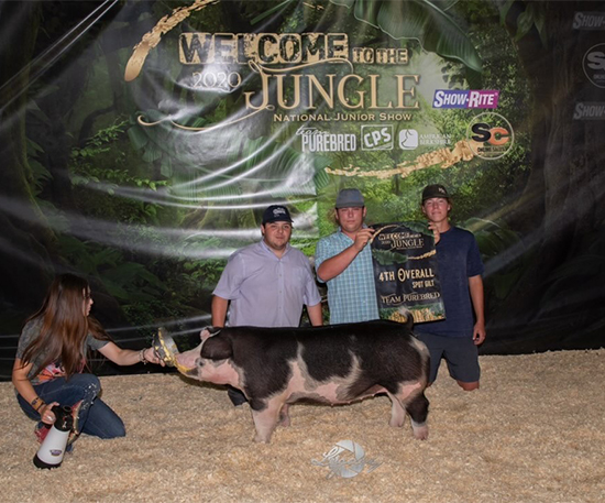 Pendley-4th-Ovr-Spot-Gilt-STC-LAMPOON Crossroads Winners