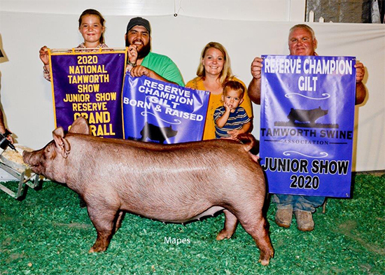Scher-Res-Tam-Gilt-Tam-National-ZOO-ANIMAL Crossroads Winners