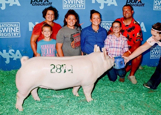 Schneider-$6K-1st-York-Gilt-Midwestern-BIG-PAW Crossroads Winners