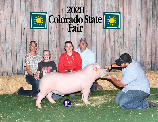 Stromberger-Champ-Chester-COSF-CUSTOM-MADE Crossroads Winners