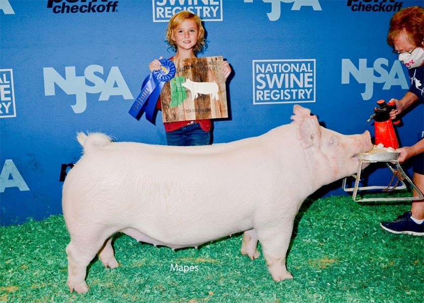 beck-champboyorkgilt-eastreg-bigpaw Crossroads Winners