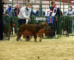 mazich-resdurocba-eastreg-lastdrop Crossroads Winners