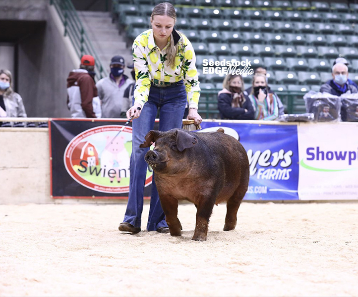 Bliss-1st-Duroc-Gilt-West-Reg-LAST-DROP Crossroads Winners