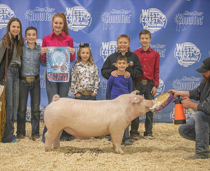 Cleavanger-Res-Chester-Ba-West-Coast-Nat-CUSTOM-MADE Crossroads Winners