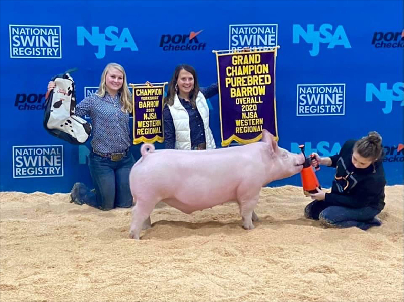 Hines-Grand-Ovr-Ba-Champ-York-West-Reg-DYNAMITE Crossroads Winners