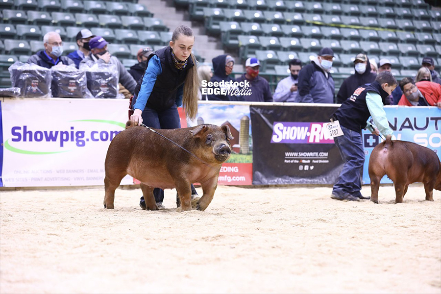 Short-1st-Duroc-Gilt-West-Reg-NEXT-UP Crossroads Winners