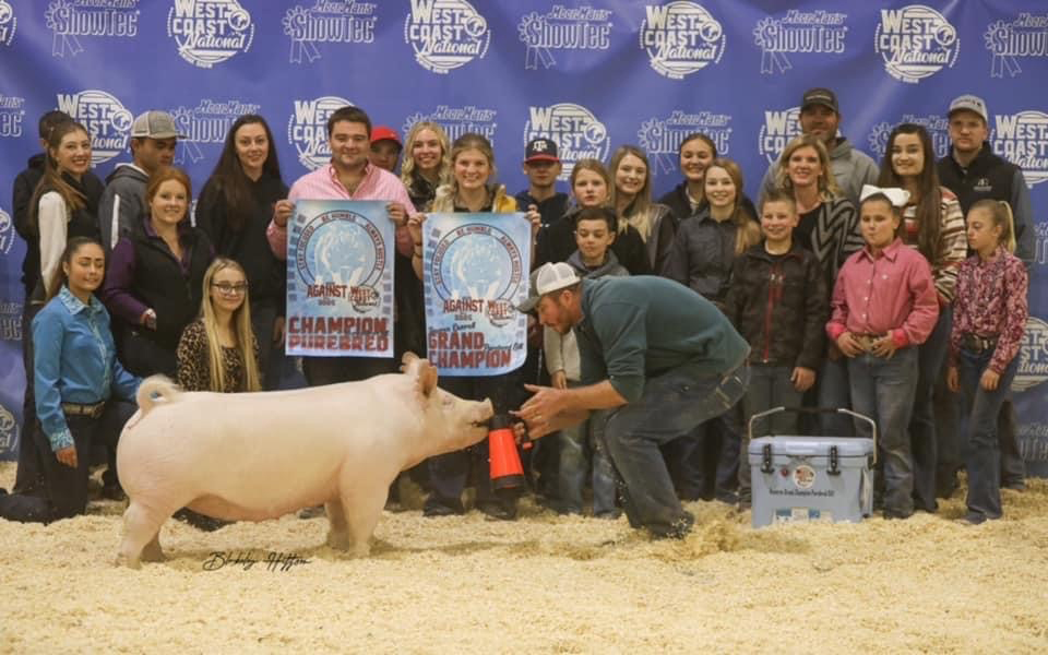 Vierra-Res-Overall-Gilt-West-Coast-Nat-BIG-PAW Crossroads Winners