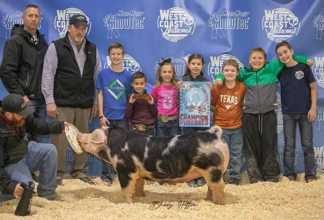 Weber-Res-Spot-Gilt-West-Coast-Nat-LAMPOON Crossroads Winners