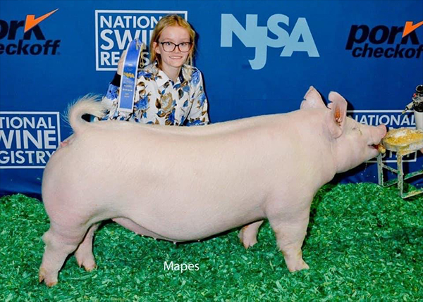 Logue-3rd-Ovr-Ba-Breeders-Cup-BIG-PAW Crossroads Winners