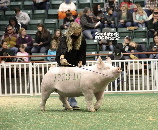 Logue-3rd-Ovr-Ba-Breeders-Cup-BIG-PAW Crossroads Winners