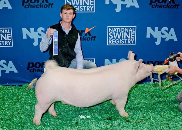 Logue-3rd-Ovr-Ba-Breeders-Cup-BIG-PAW Crossroads Winners