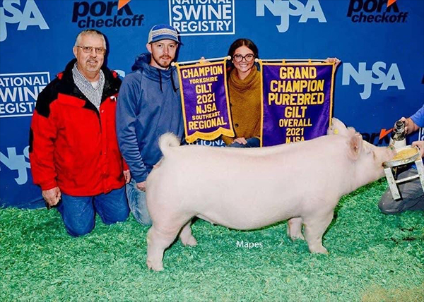 Logue-3rd-Ovr-Ba-Breeders-Cup-BIG-PAW Crossroads Winners