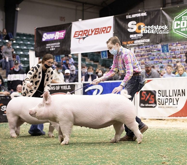 Logue-3rd-Ovr-Ba-Breeders-Cup-BIG-PAW Crossroads Winners