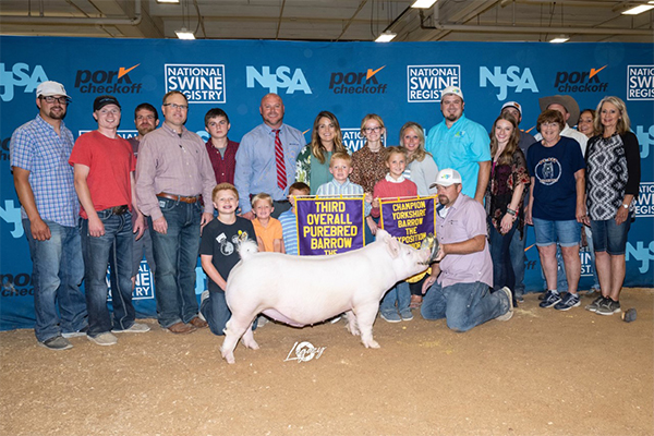 Logue-3rd-Ovr-Ba-Breeders-Cup-BIG-PAW Crossroads Winners