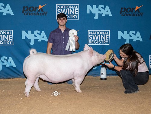 Crossroads Winners Crossroads Winners