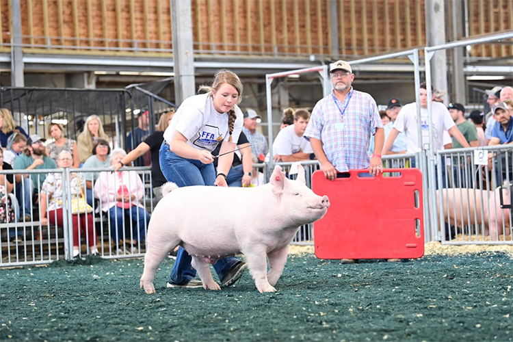 Crossroads Winners Crossroads Winners