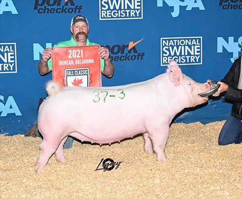 Crossroads Winners Crossroads Winners