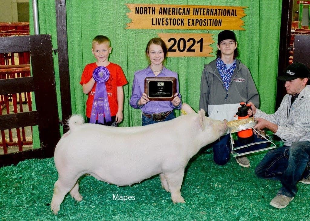 Vigar Champ Yorkshire Mkt Hog NAILE BIG PAW Crossroads Winners