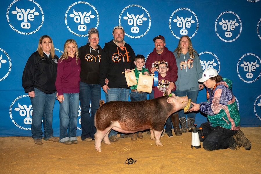 Reserve Hereford Gilt OYE