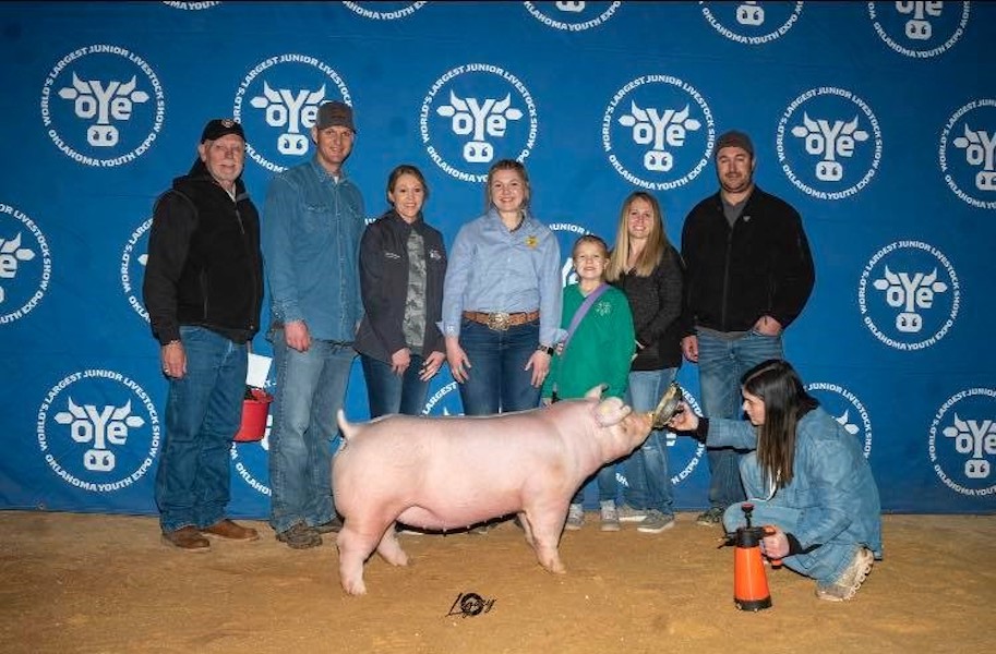 5ht Chester Gilt OYE 5ht Chester Gilt OYE