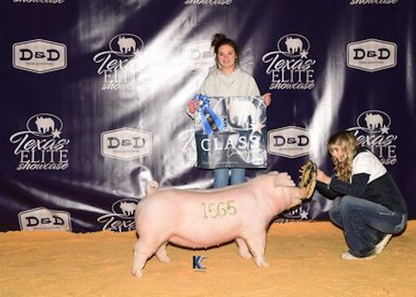 3rd Chester Gilt Texas Elite 3rd Chester Gilt Texas Elite