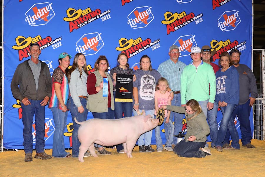 Reserve Chester Gilt San Antonio Reserve Chester Gilt San Antonio